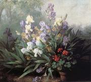 Barbara Bodichon Landscape with Irises oil painting